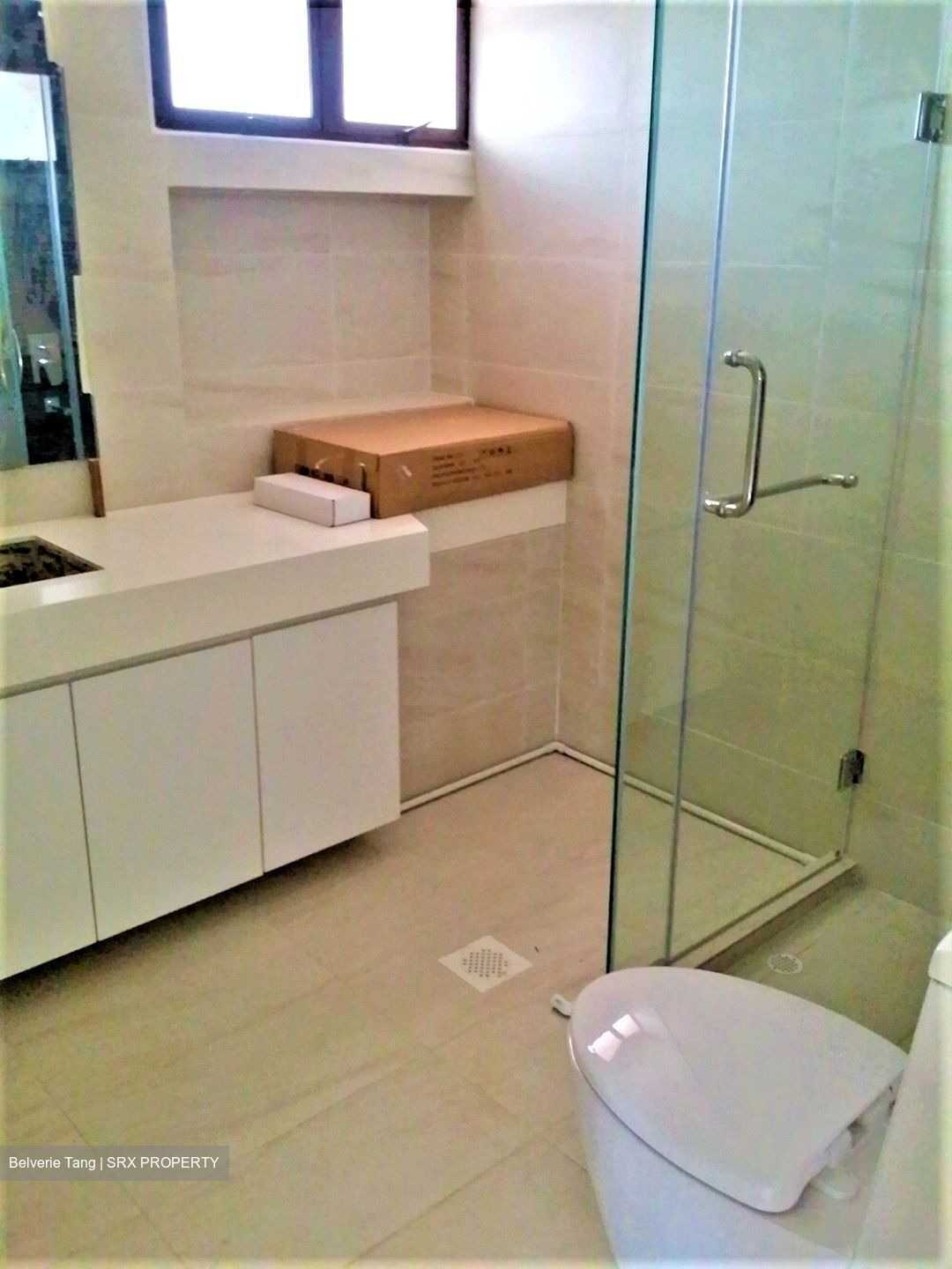 Parkway View (D15), Apartment #335012481